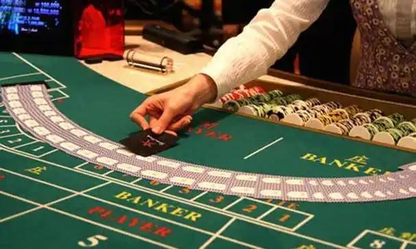 Dashboard partai togel menampilkan antarmuka Togel 3D dengan pemilihan nomor dan riwayat hasil